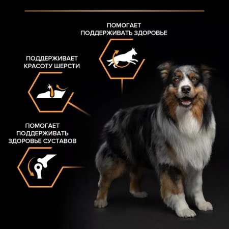 Сухой корм Purina PRO PLAN Everyday Nutrition для взрослых собак средних пород, с курицей, 3 кг