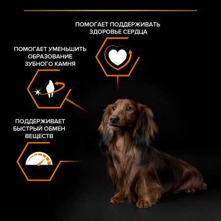 Сухой корм Purina PRO PLAN Everyday Nutrition для взрослых собак мелких и карликовых пород, с курицей, 700 г
