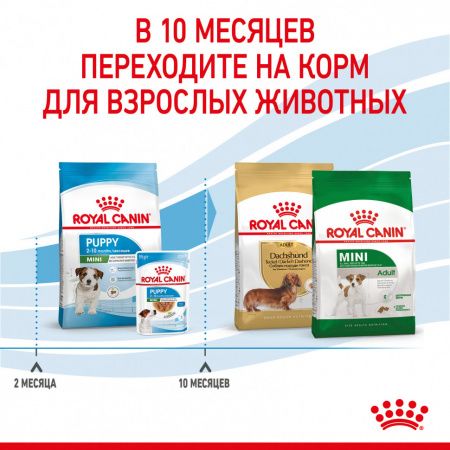 Сухой корм ROYAL CANIN Mini Puppy, для щенков мелких пород, 2кг.