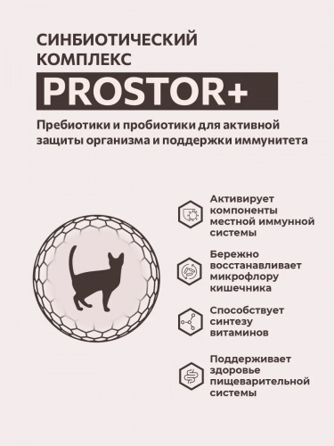 кош индейка 5