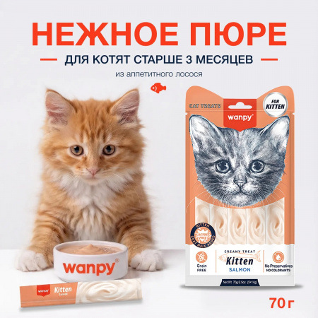 Лакомство Wanpy Cat для котят, Нежное пюре из лосося, 70г