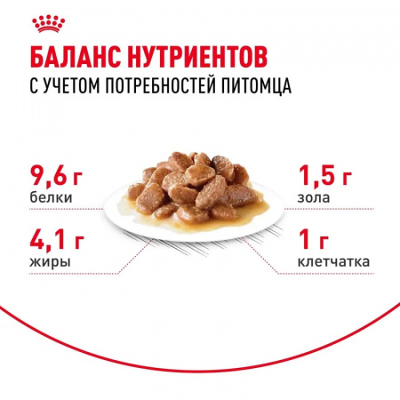 Влажный корм ROYAL CANIN Ageing 12+для стареющих кошек в возрасте старше 12 лет, мелкие кусочки в соусе, 85г