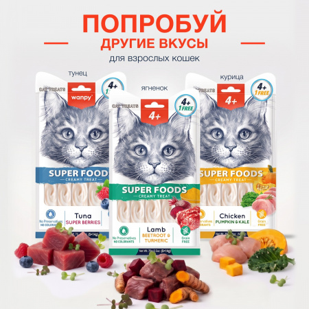 Лакомство Wanpy Cat для взрослых кошек, нежное пюре из лосося с семенами чиа и водорослями, 70г
