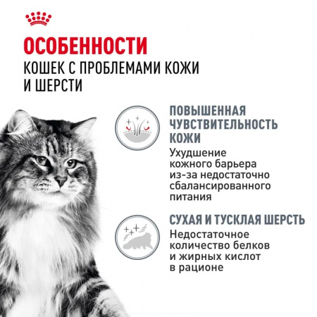 Влажный корм ROYAL CANIN Hair & Skin care для взрослых кошек для здоровья кожи и красоты шерсти, тонкие ломтики в соусе, 85г