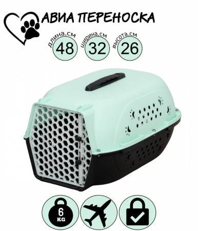 HP-C01S Авиа переноска для домашних животных "Чистый котик" 48*32*26 см светло-зелёный