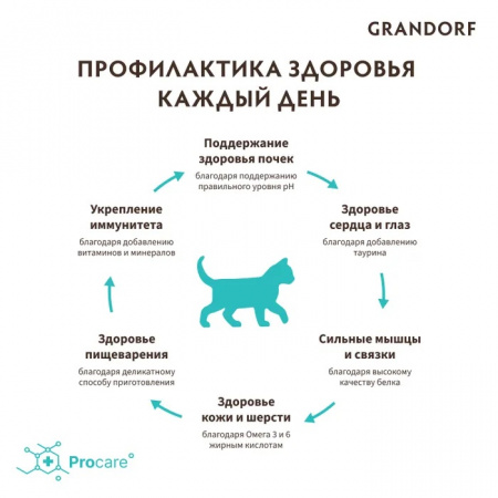 Сухой корм GRANDORF CAT Kitten для котят, беременных и кормящих кошек, ягненок с индейкой, 8 кг