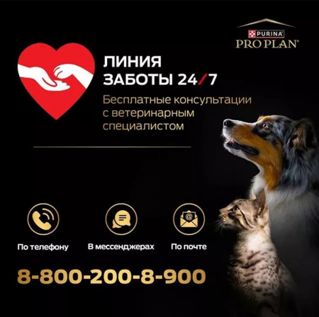 Сухой корм Purina PRO PLAN Sterilised Longevis для стерилизованных кошек старше 7 лет, с индейкой, 400 г