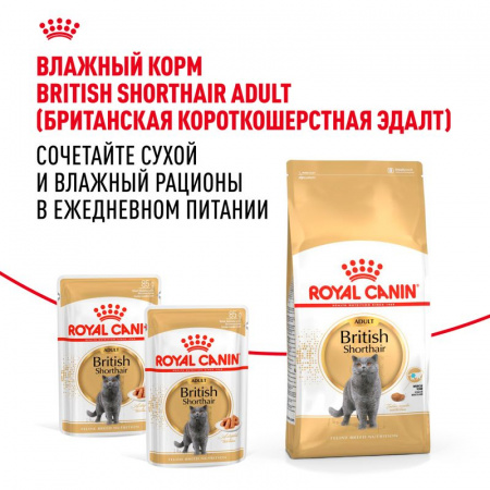 Сухой корм ROYAL CANIN British Shorthair Adult для для взрослых британских короткошерстных кошек старше 12 месяцев 10кг