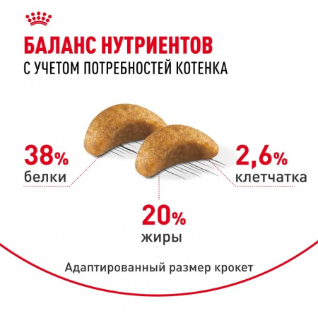 Сухой корм ROYAL CANIN British Shorthair Kitten, для британских короткошерстных котят, 2кг