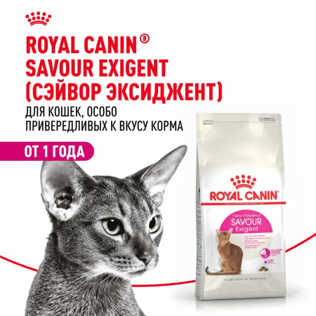 Сухой корм ROYAL CANIN Savour Exigent, для привередливых взрослых кошек от 1 года, 2кг