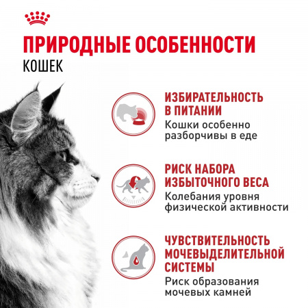 Влажный корм ROYAL CANIN Instinctive для взрослых кошек, кусочки в соусе, 85г