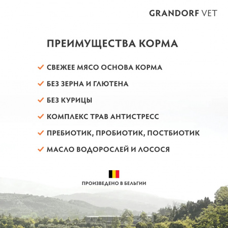 Сухой корм GRANDORF DOG Veterinary Diet Dermatosis для взрослых собак, при дерматозах и чрезмерном выпадении шерсти, с лососем, 1 кг