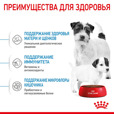 Сухой корм ROYAL CANIN Mini Starter Mother & Babydog, для собак мелких размеров (весом до 10 кг) в конце беременности и в период лактации, а также для щенков в период отъема от матери и до 2-х месячного возраста, 1кг