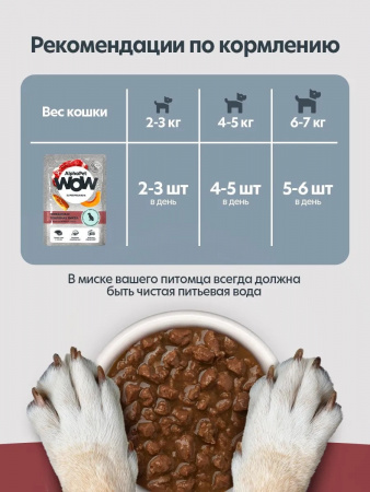 Влажный корм AlphaPet WOW Superpremium для собак, с чувствительным пищеварением, ломтики говядины и томленая тыква в соусе, 85г