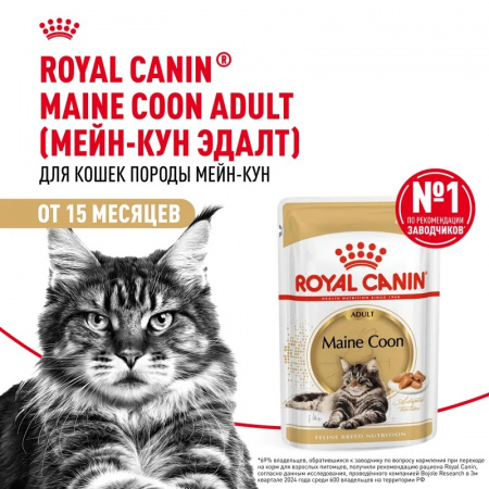 Влажный корм ROYAL CANIN Maine Coon, для взрослых кошек породы Мэйн Кун старше 15 месяцев, 85г