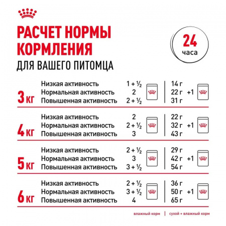 Влажный корм ROYAL CANIN Ageing 12+для стареющих кошек в возрасте старше 12 лет, мелкие кусочки в соусе, 85г