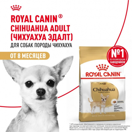 Сухой корм ROYAL CANIN Chihuahua Adult, для взрослых собак породы Чихуахуа от 8 месяцев, 500г