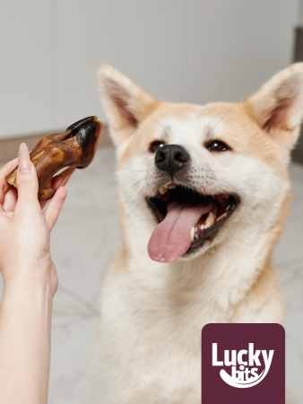 Лакомство Lucky bits для собак мелких и средних пород, Копытце баранье, 70г