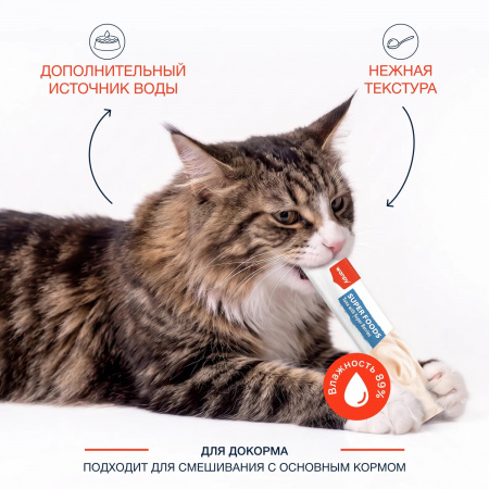 Лакомство Wanpy Cat для взрослых кошек, нежное пюре из тунца с ягодами, 70г