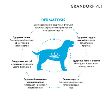 Сухой корм GRANDORF DOG Veterinary Diet Dermatosis для взрослых собак, при дерматозах и чрезмерном выпадении шерсти, с лососем, 1 кг