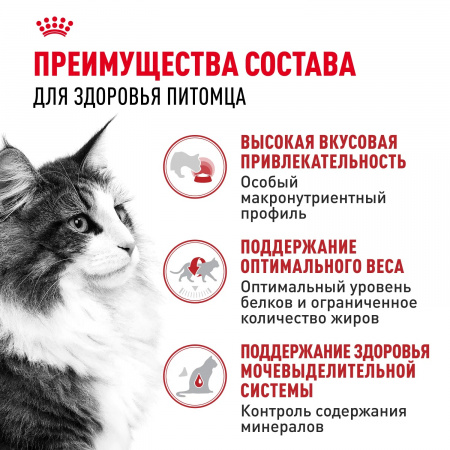 Влажный корм ROYAL CANIN Instinctive для взрослых кошек, кусочки в соусе, 85г