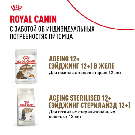 Влажный корм ROYAL CANIN Ageing 12+для стареющих кошек в возрасте старше 12 лет, мелкие кусочки в соусе, 85г