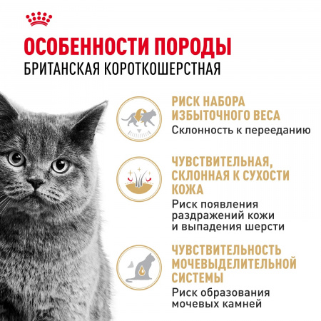 Влажный корм ROYAL CANIN British Shorthair Adult для взрослых британских короткошерстных кошек, кусочки в соусе, 85г