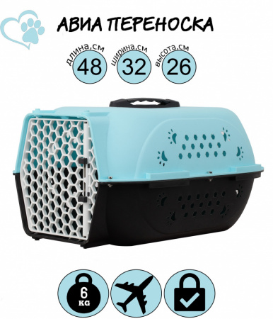 HP-C01S Авиа переноска для домашних животных «Вояж» ТМ Чистый котик, 48*32*26 см, цвет: голубой