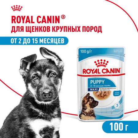 Влажный корм ROYAL CANIN Maxi Puppy для щенков крупных пород до 15 месяцев, кусочки в соусе, 100г