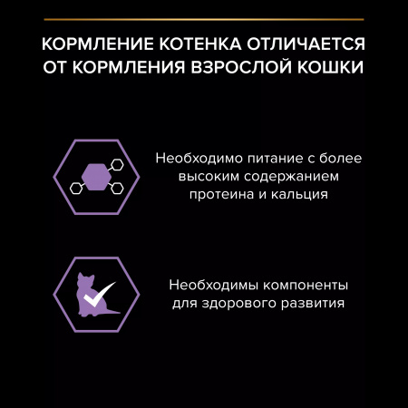 Влажный корм Purina PRO PLAN для котят, беременных и кормящих кошек, кусочки с лососем в соусе, 85г