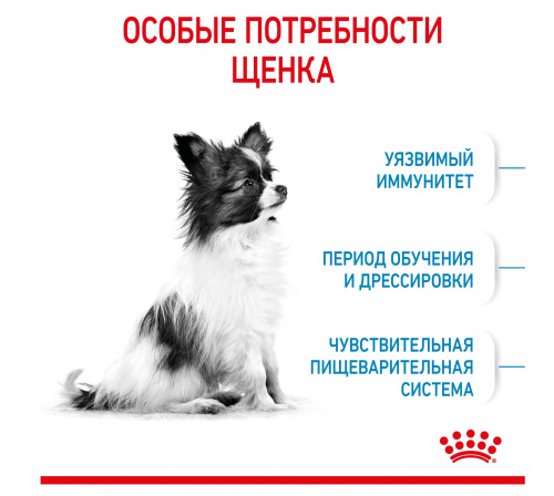 икс смол3