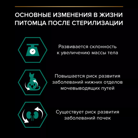 Влажный корм Purina PRO PLAN для взрослых стерилизованных кошек, с индейкой в соусе, 85г