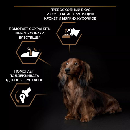 Сухой корм Purina PRO PLAN Duo Delice для взрослых собак мелких и карликовых пород, с двойной текстурой гранул, с говядиной, 700 г