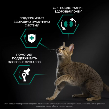Сухой корм Purina PRO PLAN Renal Plus для взрослых кошек, для поддержания здоровья почек, с курицей, 10 кг