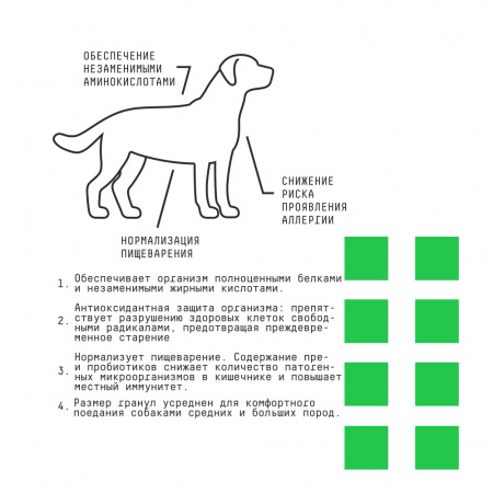 Сухой корм AJO Dog SPECIAL LINE HYPOALLERGENIC для взрослых собак средних и крупных пород, склонных к аллергиям, свинина оленина гречка, 12кг 