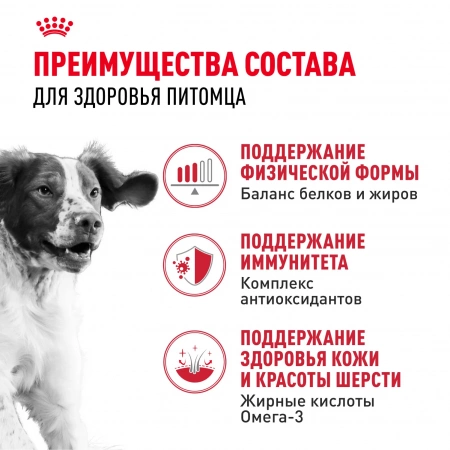 Сухой корм ROYAL CANIN Medium Adult для взрослых собак средних размеров (весом от 11 до 25 кг) в возрасте от 12 месяцев до 7 лет 15кг