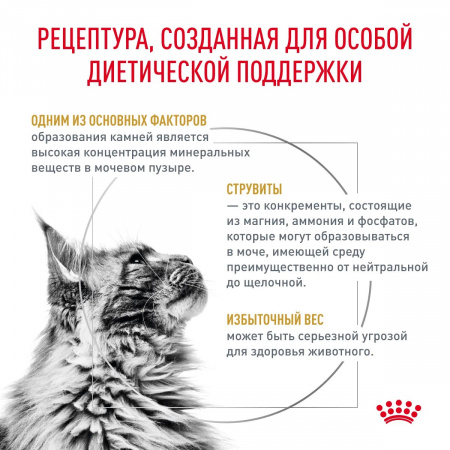 Сухой корм ROYAL CANIN Urinary S/O Moderate Calorie для взрослых кошек, склонных к набору лишнего веса, при мочекаменной болезни, 7 кг
