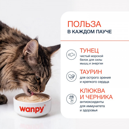 Лакомство Wanpy Cat для взрослых кошек, нежное пюре из тунца с ягодами, 70г