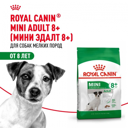 Сухой корм ROYAL CANIN Mini Adult 8+ для стареющих собак мелких пород (весом от 1 до 10 кг) в возрасте от 8 лет, 4кг
