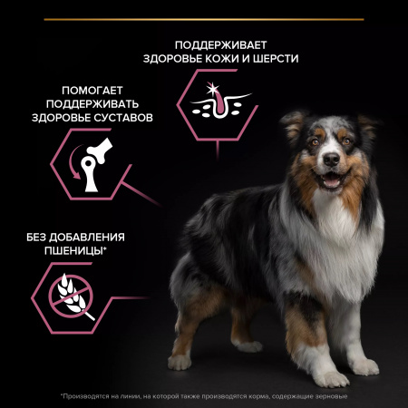 Сухой корм Purina PRO PLAN Sensitive Skin для взрослых собак средних пород, с чувствительной кожей, с лососем, 14 кг