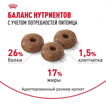 Сухой корм ROYAL CANIN Mini Dermacomfort, для взрослых собак мелких размеров при раздражениях и зуде кожи, 1кг