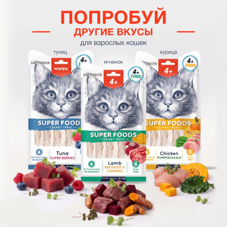 Лакомство Wanpy Cat для взрослых кошек, нежное пюре из ягненка со свеклой и куркумой, 70г