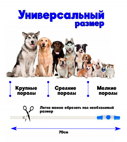 Новый проект (40)