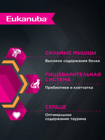 Влажный корм EUKANUBA Top Condition для взрослых кошек, для поддержания оптимальной формы, с говядиной в соусе, 85г