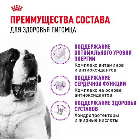 Сухой корм ROYAL CANIN GIANT ADULT для взрослых собак крупных пород, 15кг