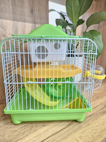 photo_2024-09-10_15-39-16