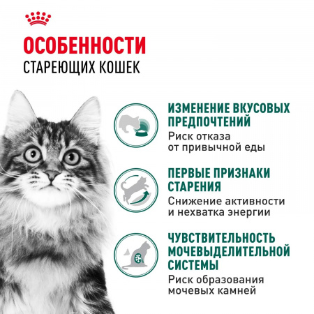 Влажный корм ROYAL CANIN Instinctive 7+ для кошек в возрасте старше 7 лет, мелкие кусочки в соусе, 85г