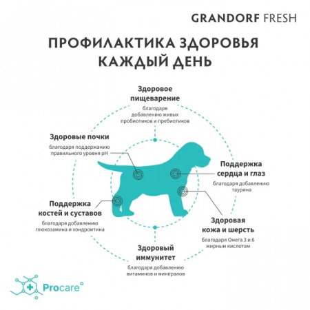Сухой корм GRANDORF Fresh DOG, беззерновой, Puppy для щенков, беременных и кормящих собак, с живыми пробиотиками, свежее мясо ягненка с бататом, 1 кг