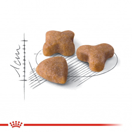 Сухой корм ROYAL CANIN Sensible 33, для взрослых кошек с чувствительной пищеварительной системой, 400г.