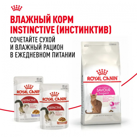 Сухой корм ROYAL CANIN Savour Exigent, для привередливых взрослых кошек от 1 года, 2кг